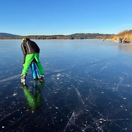 Unique Lipno Appartamento *