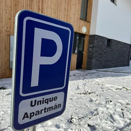 Lejlighed Unique Lipno Černá v Pošumaví
